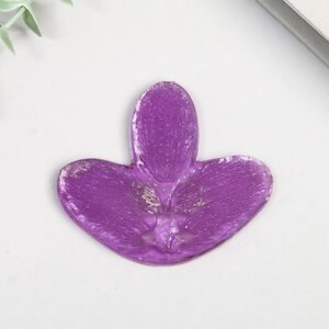 Молд силиконовый "Лист орхидеи" 7х6 см
