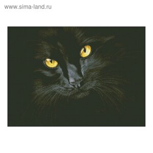 Набор алмазной мозаики «Чёрная кошка»