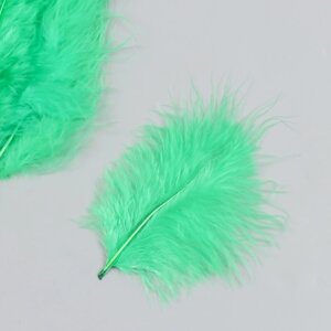 Набор декоративных перьев "Рукоделие", 20 шт (травяной цвет), длина пера 13-16 см