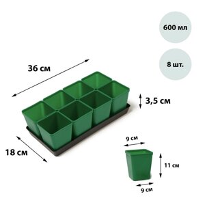Набор для рассады: стаканы по 600 мл (8 шт. поддон 36 18 см, цвет МИКС, Greengo
