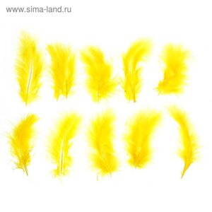 Набор перьев для декора 10 шт., размер 1 шт: 10 2 см, цвет жёлтый