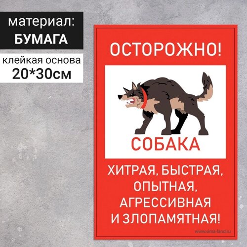 Наклейка «Осторожно собака» 200300, хитрая, быстрая, цвет красно-белый
