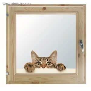 Окно 70х70 см, "Кошак", однокамерный стеклопакет, уплотнитель, хвоя