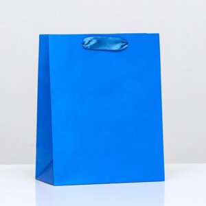 Пакет ламинированный «Синий», 18 х 23 х 10 см
