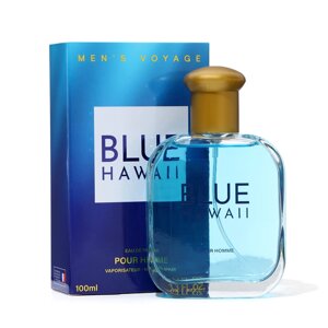Парфюмерная вода мужская Men's Voyage Blue Hawaii, 100 мл (по мотивам Blue Seduction (A. Banderas)