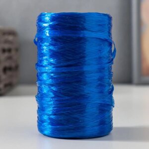 Пряжа "Для вязания мочалок" 100% полипропилен 400м/10010 гр в форме цилиндра (синий перлам)