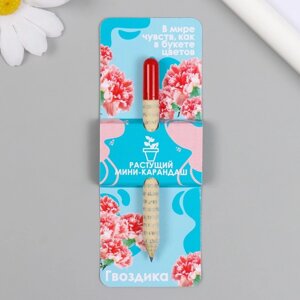 Растущие подарочные карандаши mini "Гвоздика"