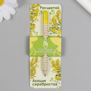 Растущие подарочные карандаши mini Расцветай "Акация серебристая"
