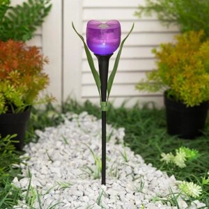Садовый светильник Uniel на солнечной батарее «Лиловый тюльпан», 5 30.5 5 см, свечение белое