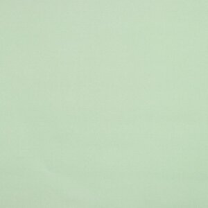 Штора рулонная «Нюд», блэкаут, 60250 см, цвет зелёный