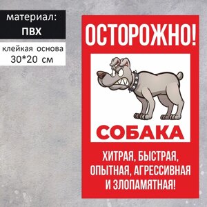 Табличка «Осторожно собака» хитрая 200300, клейкая основа, цвет красно-белый