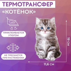 Термотрансфер «Котёнок», 11,6 19 см