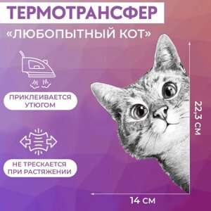 Термотрансфер «Любопытный кот», 14 22,3 см