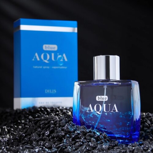 Туалетная вода мужская Blue Aqua, 100 мл