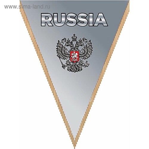 Вымпел треугольный RUSSIA фон серый, 260х200 мм, цветной, Skyway