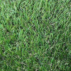 Искусственная трава Desoma Grass
