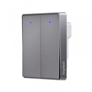 Умный выключатель двухклавишный Xiaomi Linptech Glass Panel Smart Switch E1 Single Fire Double Grey (QE1GSB-W2 MI)