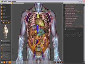 Виртуальная Анатомия 4.0 Виртуальная анатомия