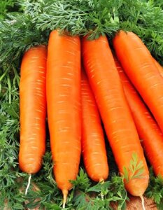 Морковь Дарина цв. п. 2гр