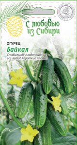 Огурец Байкал 0,25 гр цв. п. (Сибирская серия)