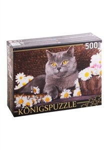 Пазл Британский кот и ромашки, 500 элементов