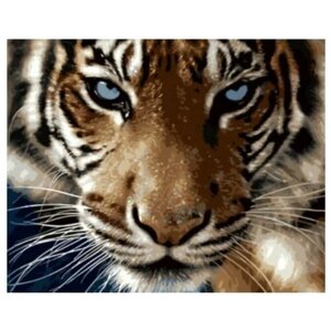Алмазная мозаика без подрамника 40x50 см Взгляд тигра