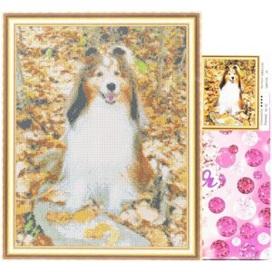 Алмазная мозаика на подрамнике (картина стразами) 40х50 Собака породы Шелти в осеннем лесу