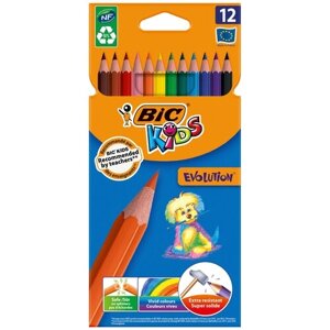 BIC Цветные карандаши Evolution 12 цветов (82902910) разноцветный