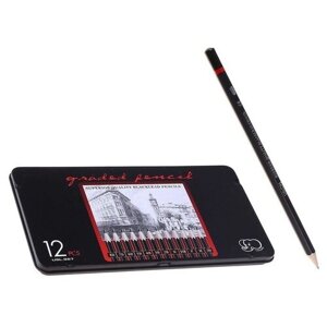 FlashMe Набор карандашей чернографитных Gladed Pencil, 12 штук, твердость 2Н-8В