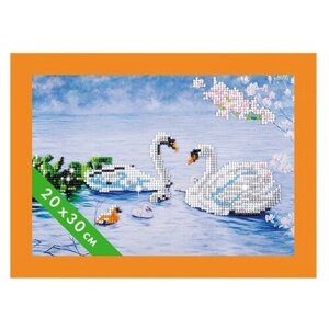 Maxi Art Набор алмазной вышивки Лебеди MA-KN0261-5 20х30 см