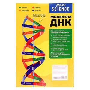 Набор ЭВРИКИ 9176778 Молекула ДНК, 1 эксперимент