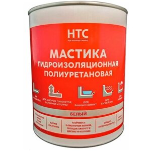 CEMMIX Мастика гидроизоляционная полиуретановая HTC 1 кг белый 85301966