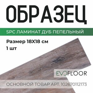 SPC ламинат Evofloor Home - Oak Ashen (Дуб Пепельный) - образец