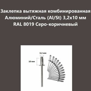 Заклепка вытяжная комбинированная Алюминий/Сталь (Al/St) 3,2х10 мм RAL 8019 Серо-коричневый