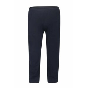 Беговые брюки ANNEX, размер 3XL, синий
