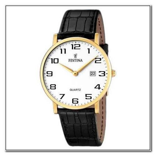 Наручные часы FESTINA Часы наручные Festina F16478/1, золотой, черный