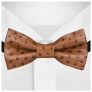 Необычный галстук-бабочка G-Faricetti BCH-73-1437