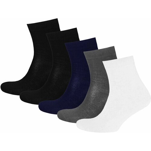Носки для мальчиков Status классические, 5 пар, цвет разноцветный, размер 22-24