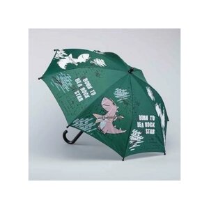Зонт котофей, зеленый