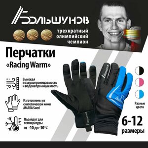Перчатки Александр Большунов, размер 7, синий