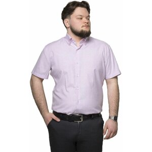 Рубашка Imperator, размер 44/XS/170-178/38 ворот, фиолетовый