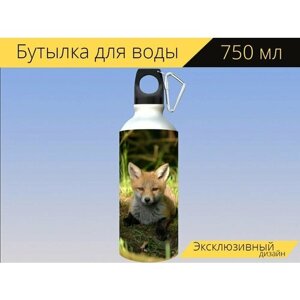 Бутылка фляга для воды "Млекопитающее, животные, лиса" 750 мл. с карабином и принтом