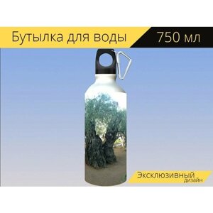 Бутылка фляга для воды "Оливковые деревья, иерусалим, израиль" 750 мл. с карабином и принтом