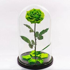 "Неоновая премиум роза в колбе " в подарочной коробке с вау-эффектом /26 см / Живет 5 лет