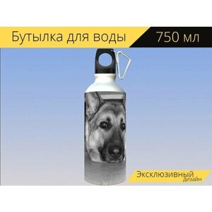 Бутылка фляга для воды "Собака, немецкая овчарка, животные" 750 мл. с карабином и принтом