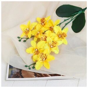 Цветы искусственные "Орхидея Фаленопсис мультифлора" 6х37 см, жёлтый
