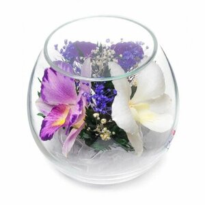 Natural Flower Products Co. Орхидеи в стекле (8 x 9 x 9см)