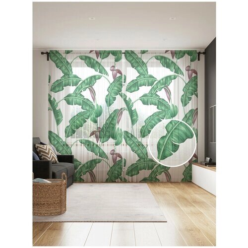 Тюль для кухни и спальни JoyArty "Тропический листопад", 2 полотна со шторной лентой шириной по 145 см, высота 265 см.