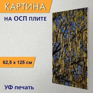 Вертикальная картина на ОСП "Лещина обыкновенная, соцветия, мужской цветок" 62x125 см. для интерьериа