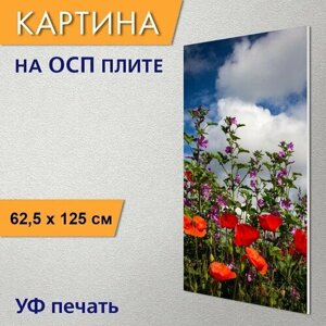 Вертикальная картина на ОСП "Маки, цветы, дикий" 62x125 см. для интерьериа